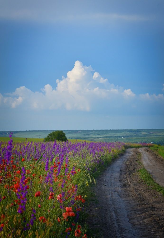 Photograph by Екатерина Гордеева