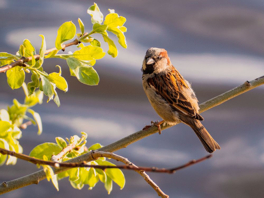 Photograph by Анна Шейко