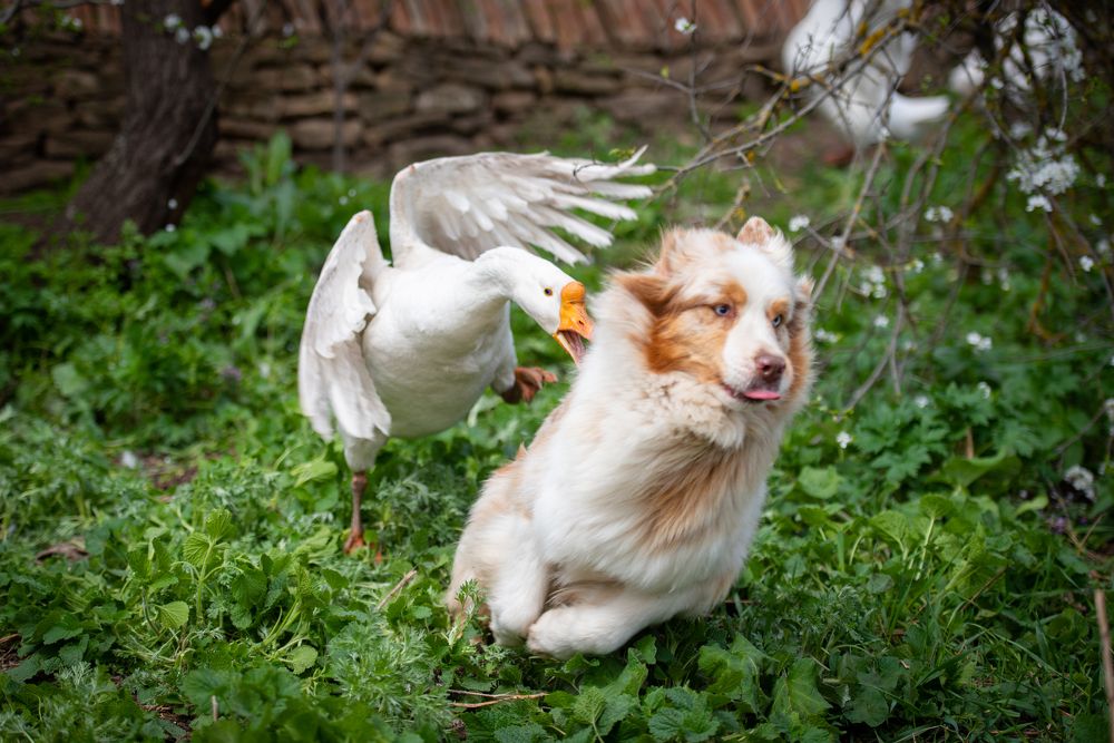 Photograph by Юлия Гасс