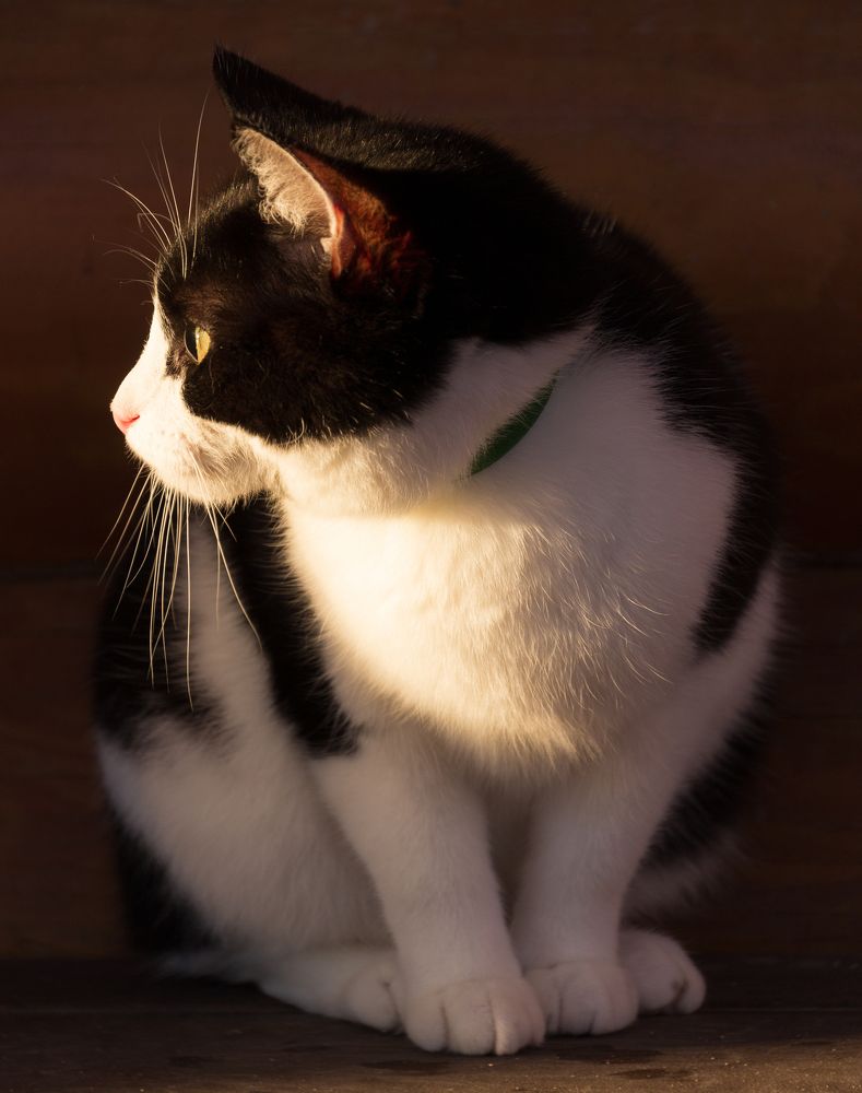 Photograph by Oleg Butorin