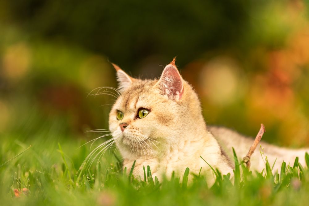 Photograph by Elena Vill