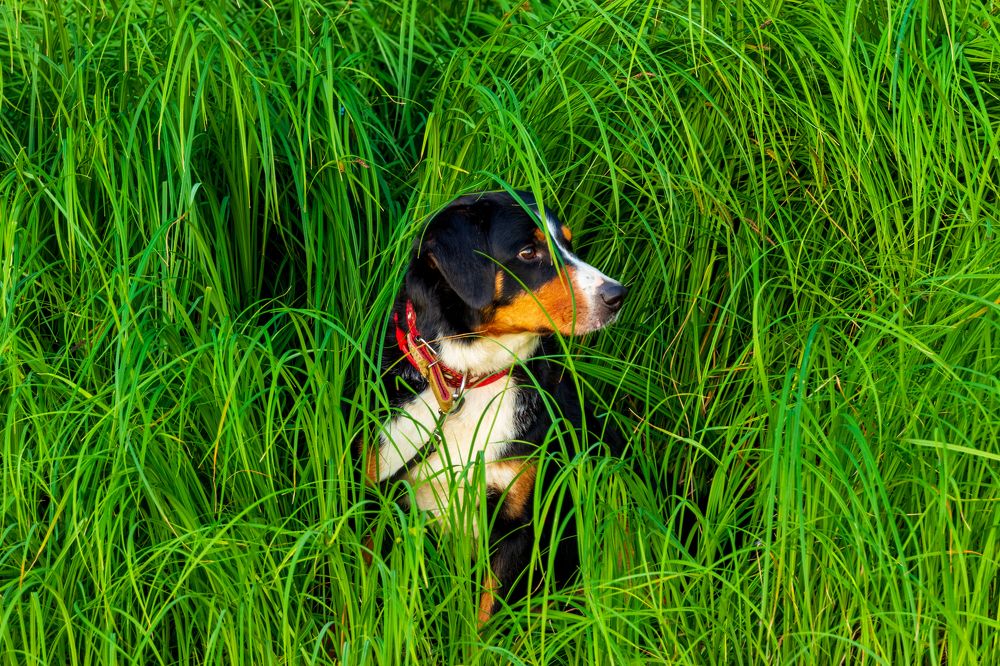 Photograph by Oleg Butorin