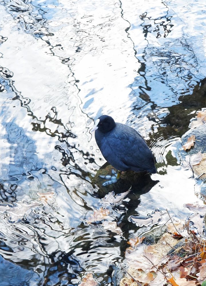 Photograph by Николай Мюллер
