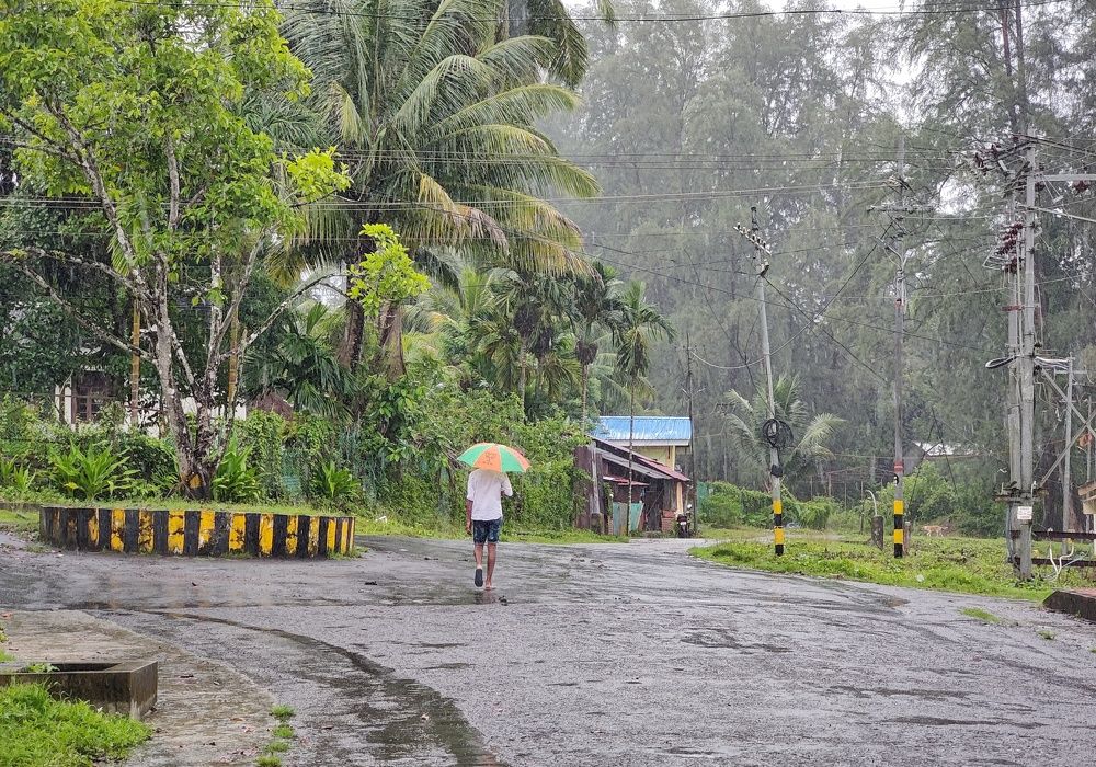The rainy road