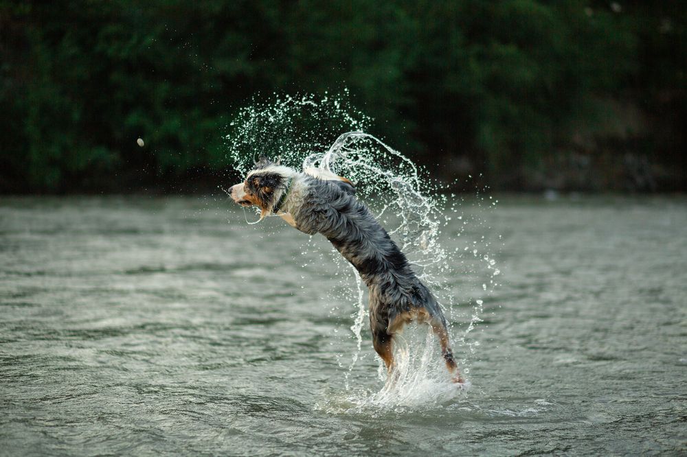 Photograph by Елена Богданова