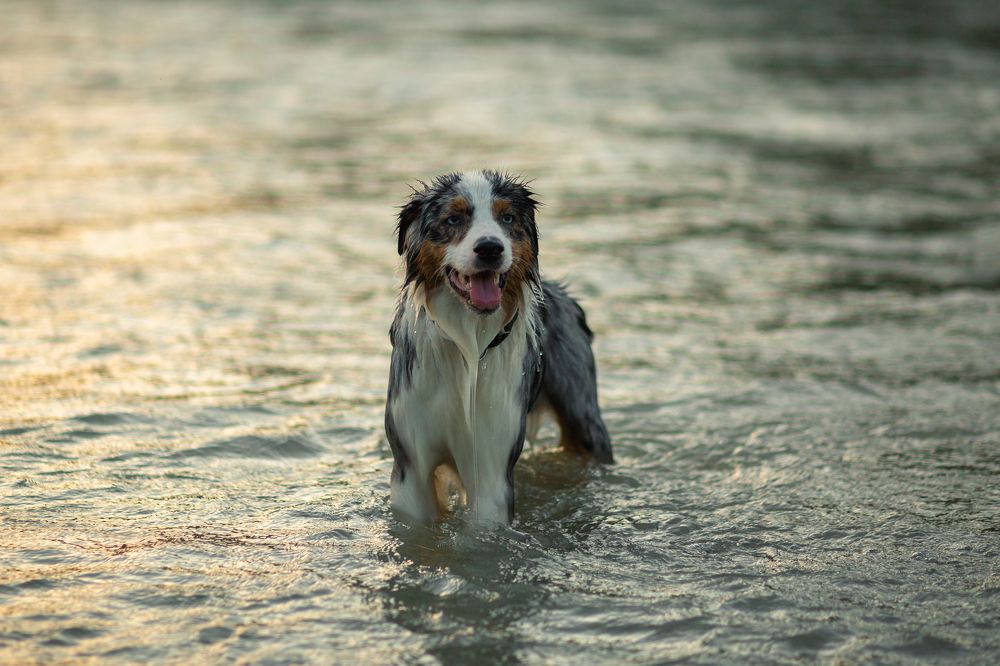 Photograph by Елена Богданова