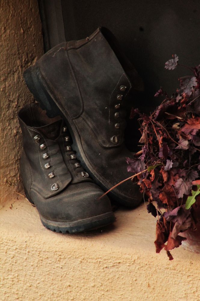 Photograph by Диана Ульянцева