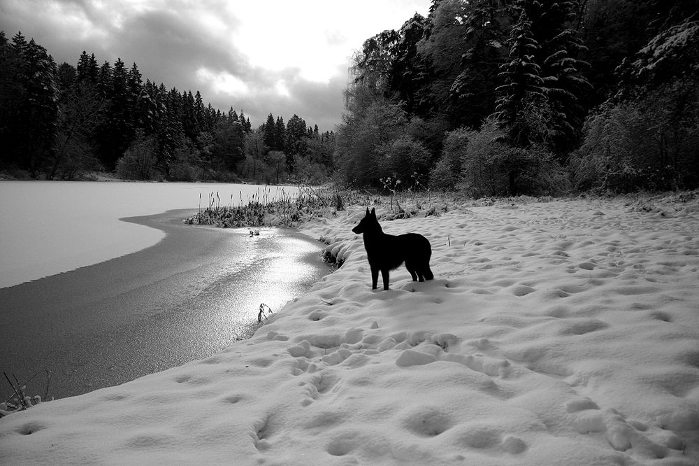 Фотография автора Надежда Лисицына