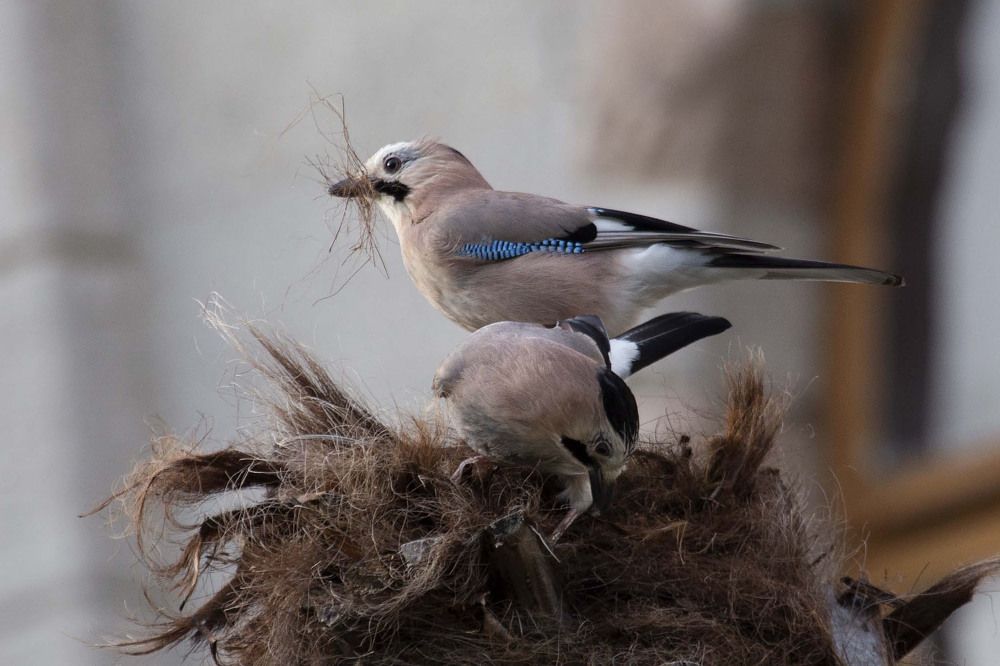 Photograph by Игорь Селин