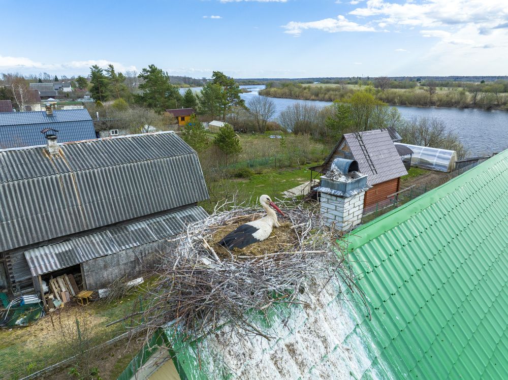 Фотография автора Иван Миллер