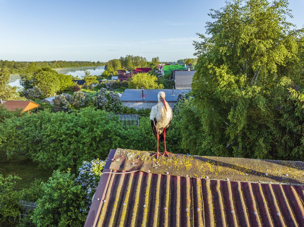 Фотография автора Иван Миллер