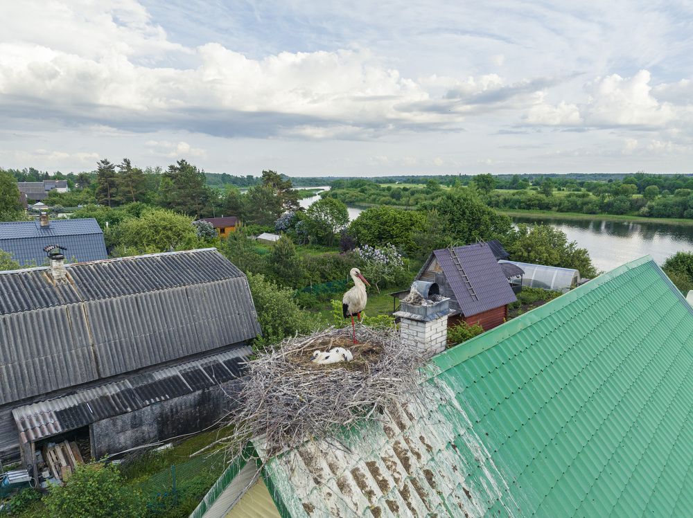 Фотография автора Иван Миллер