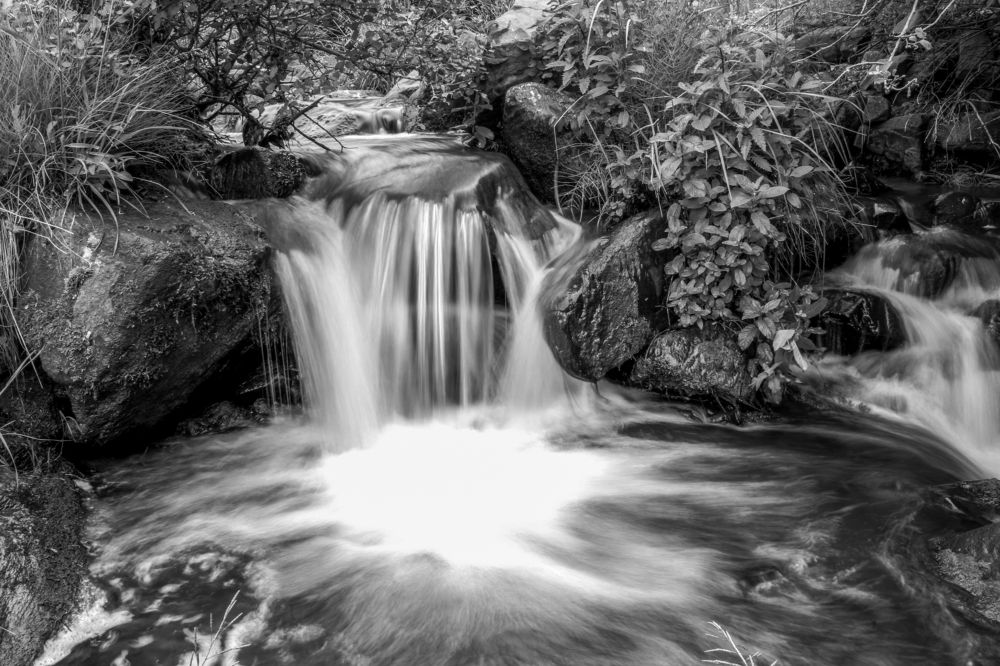 Фотография автора Vahid Basiri