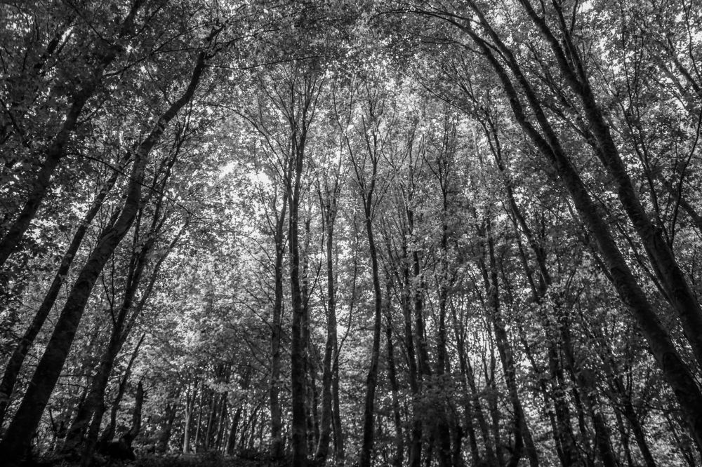 Фотография автора Vahid Basiri