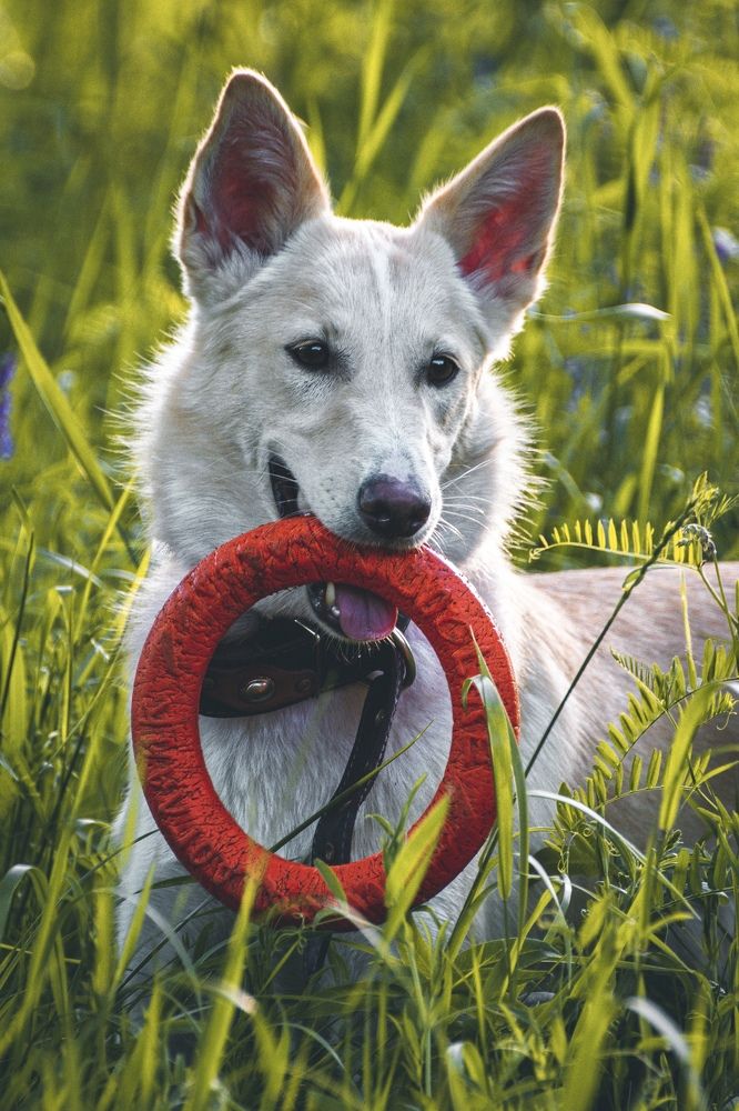 Photograph by Наталья Лапцевич