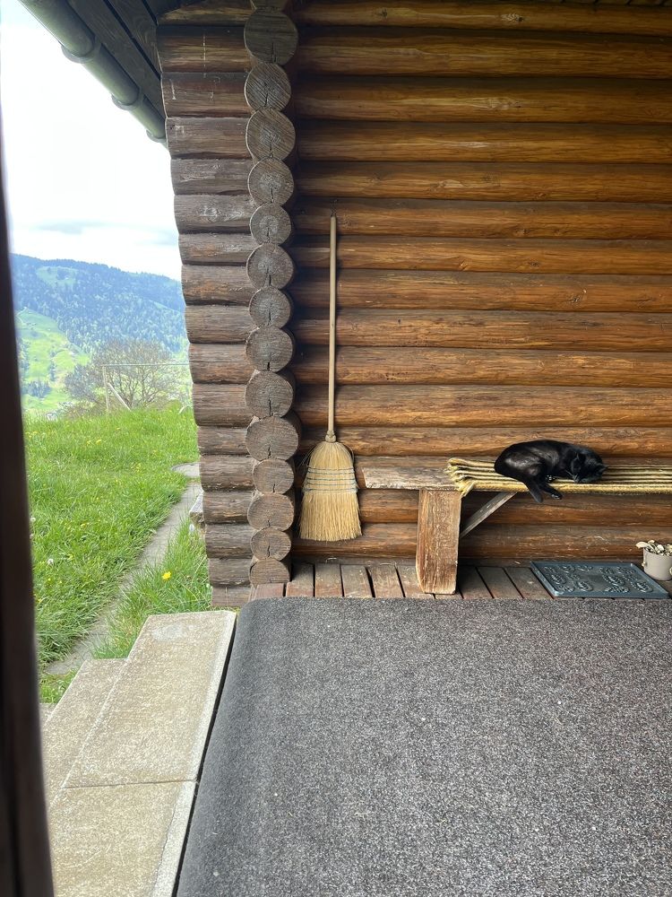 Фотография автора Bagheri rad Elaheh