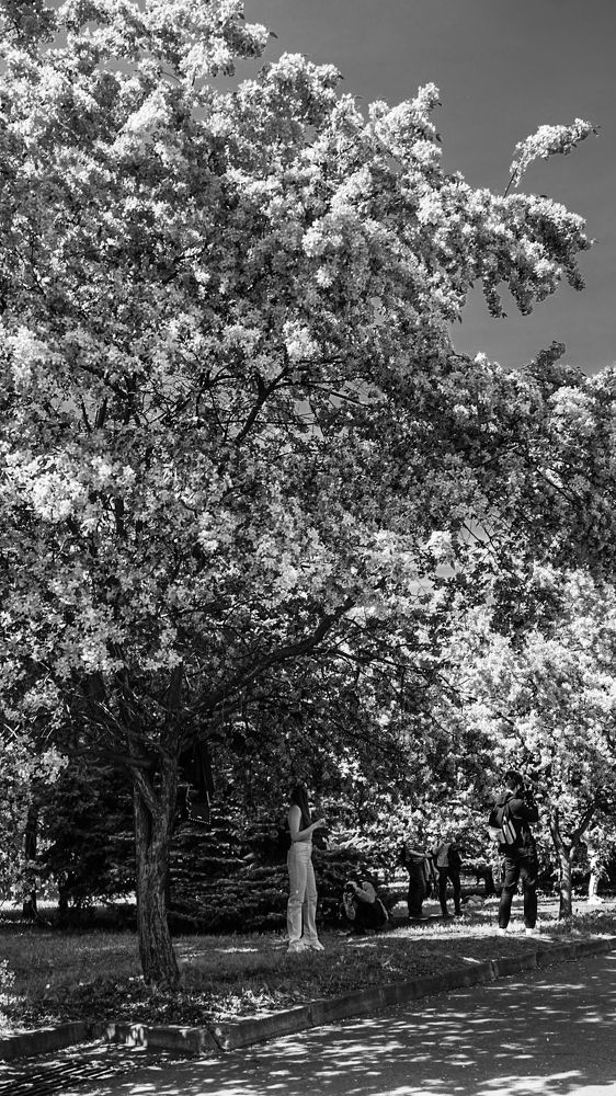 Фотография автора Slim Soyadi