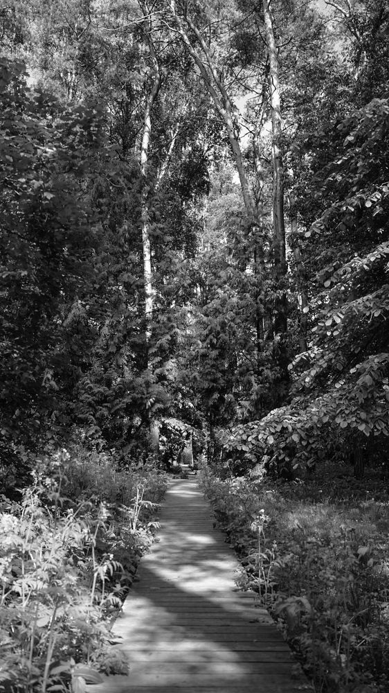 Фотография автора Slim Soyadi