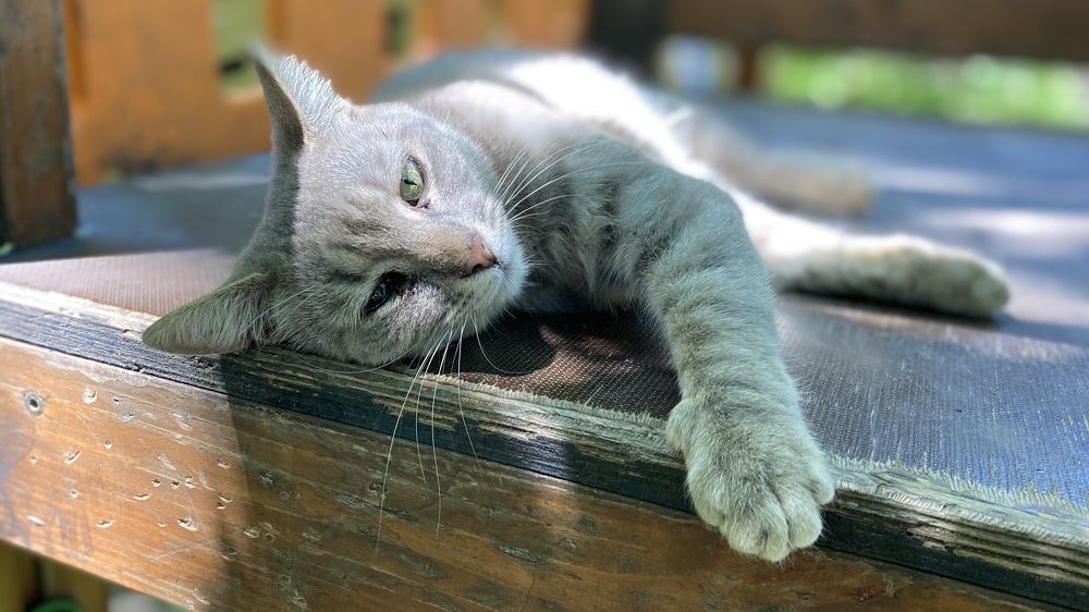 Photograph by Сергей Смирнов