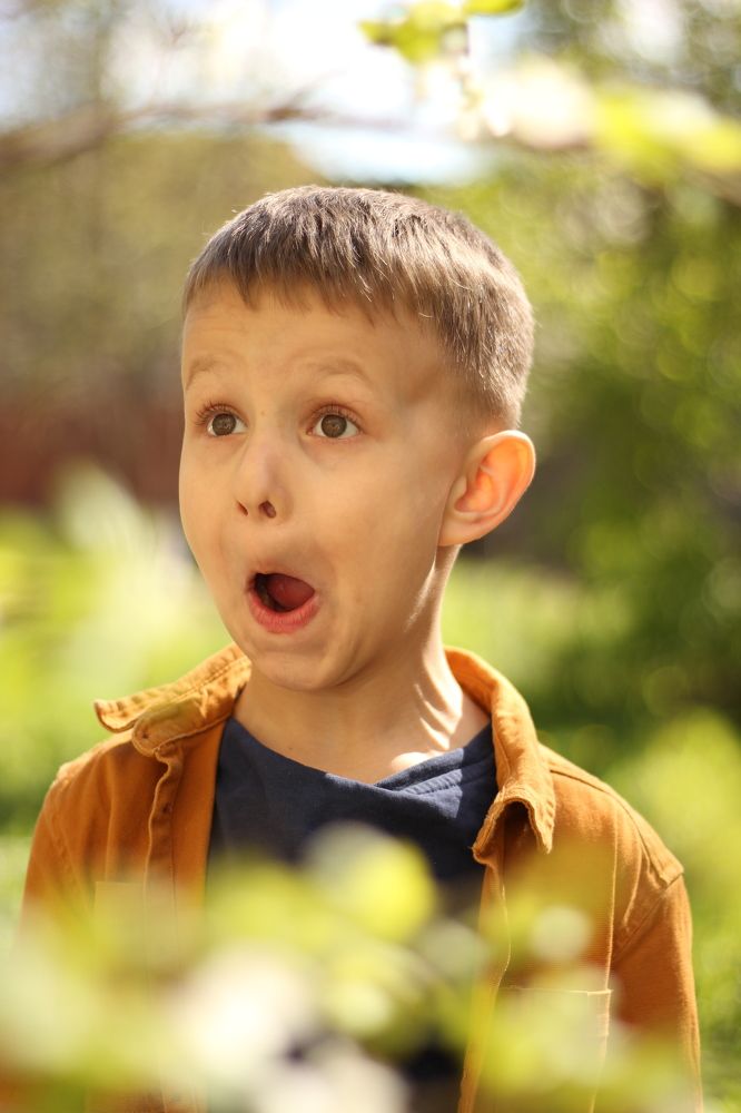 Photograph by Елена