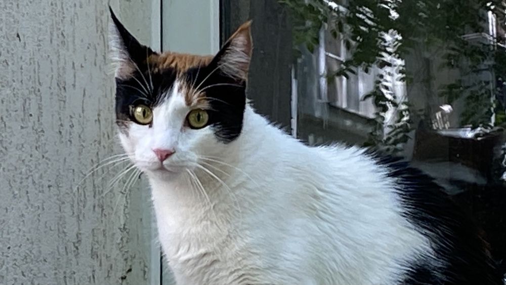 Photograph by Сергей Смирнов