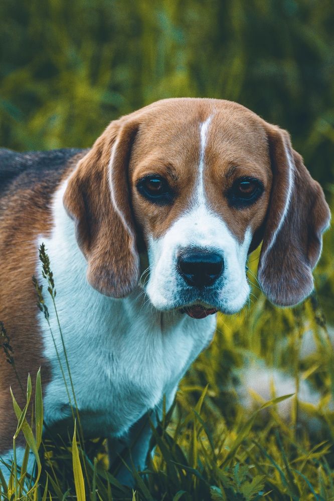 Photograph by Наталья Лапцевич