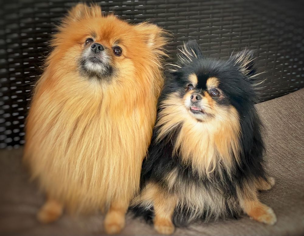 Фотография автора Евгения Иванова