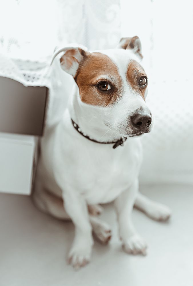 Photograph by Zhukavets Alena