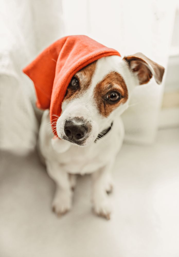 Photograph by Zhukavets Alena