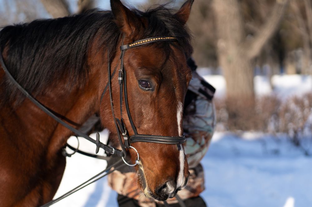 Photograph by Оксана Антипова