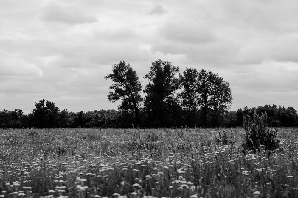 Photograph by Кристина Студеникина