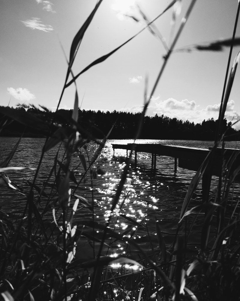 Photograph by Мила