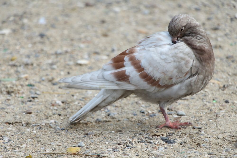 Photograph by Zhukavets Alena