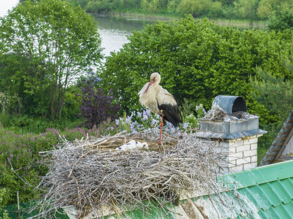 Фотография автора Иван Миллер