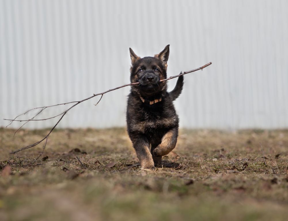 Photograph by Елена Вьюркова