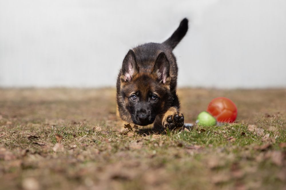 Photograph by Елена Вьюркова