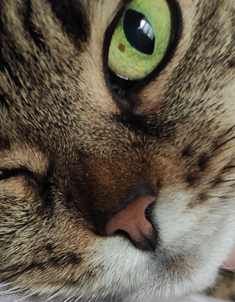 Photograph by Сидорова Ирина