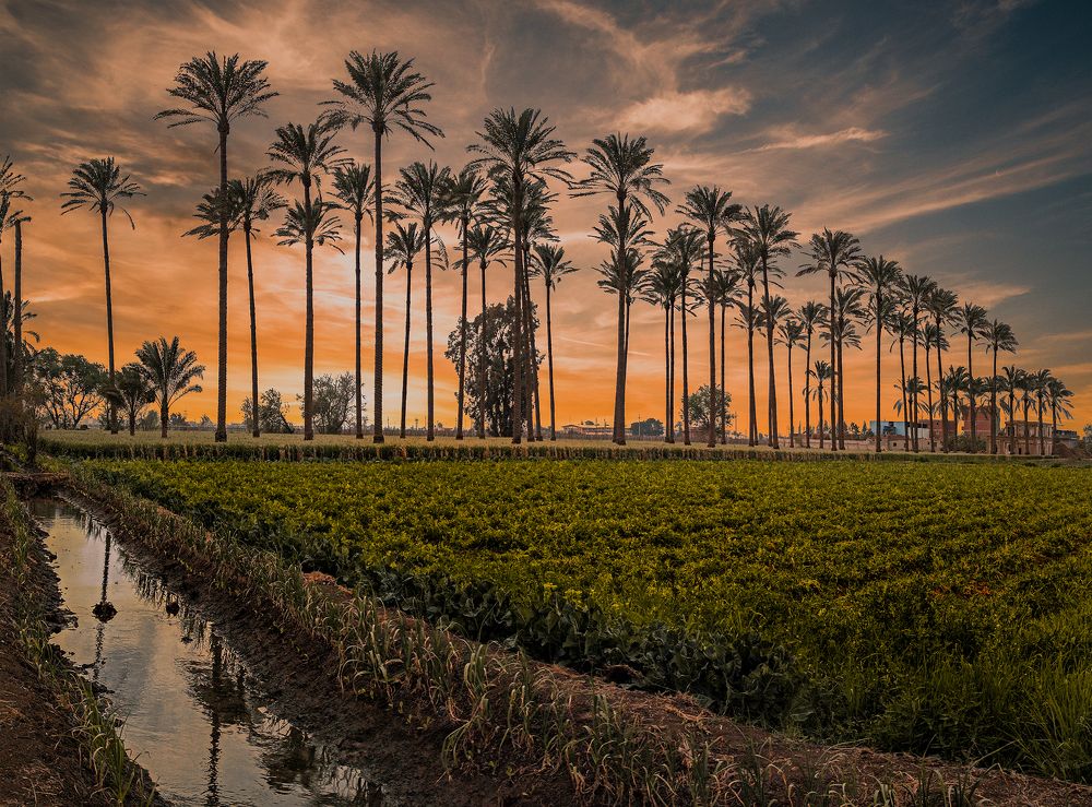 Photograph by Ibrahim