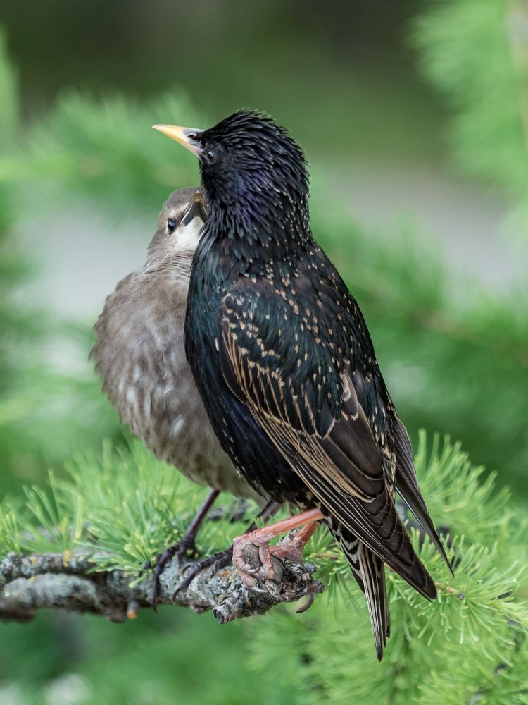 Photograph by Юрий Фокин