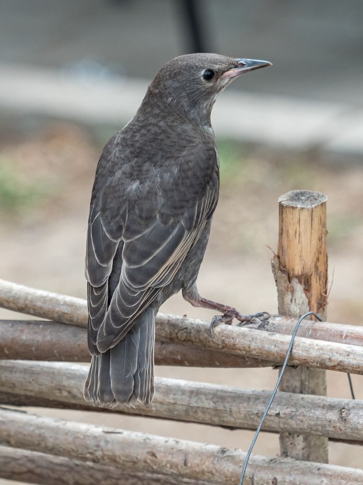 Photograph by Юрий Фокин