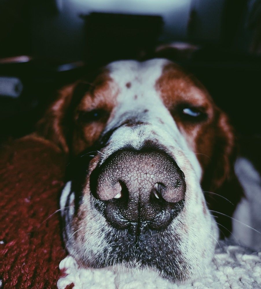 Rest time