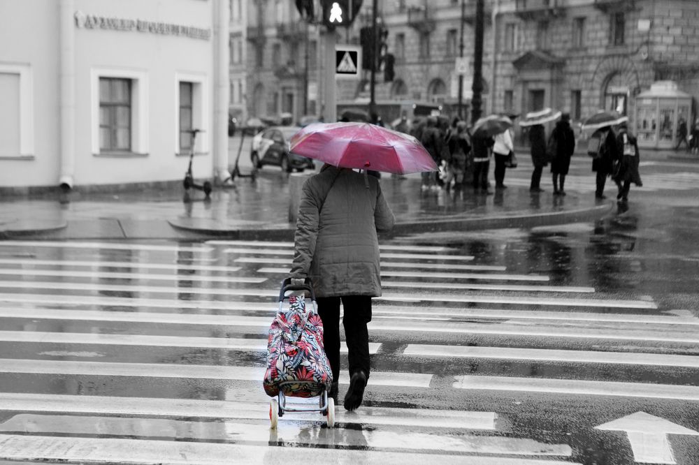 Photograph by Ольга Левакова