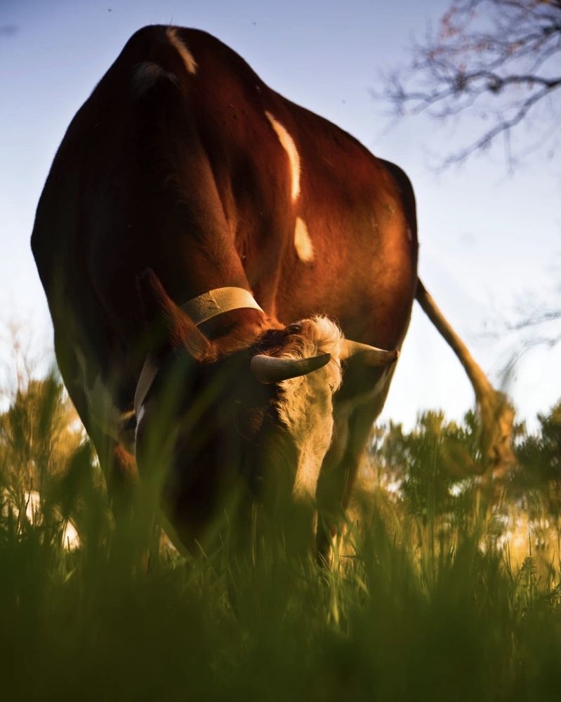 Photograph by Игорь