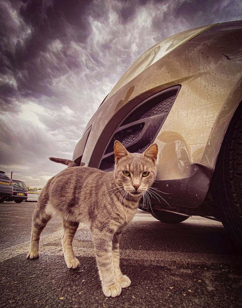 Photograph by Игорь