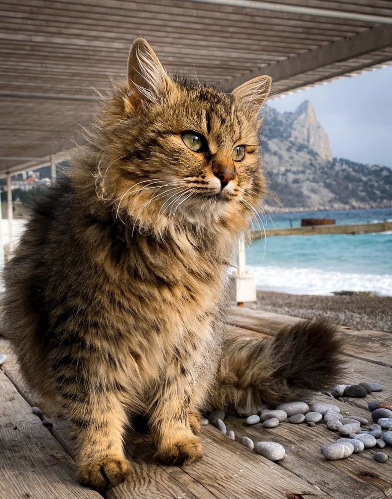 Photograph by Игорь