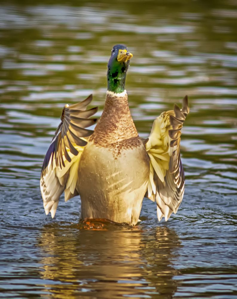 Photograph by Александр Вольхин