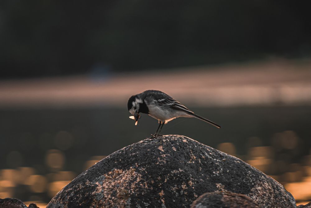 Photograph by Александр Безуглый