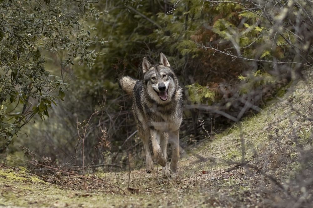 Photograph by Ivan Tamba