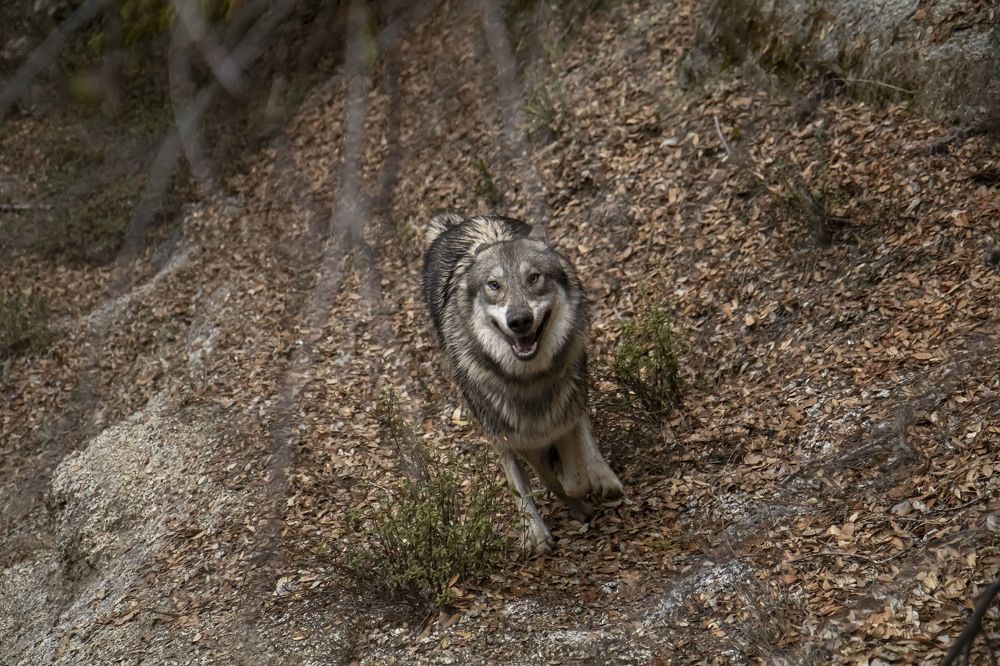 Photograph by Ivan Tamba