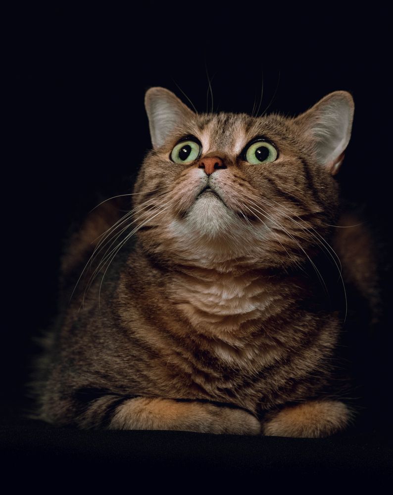 Фотография автора Константин Яковлев